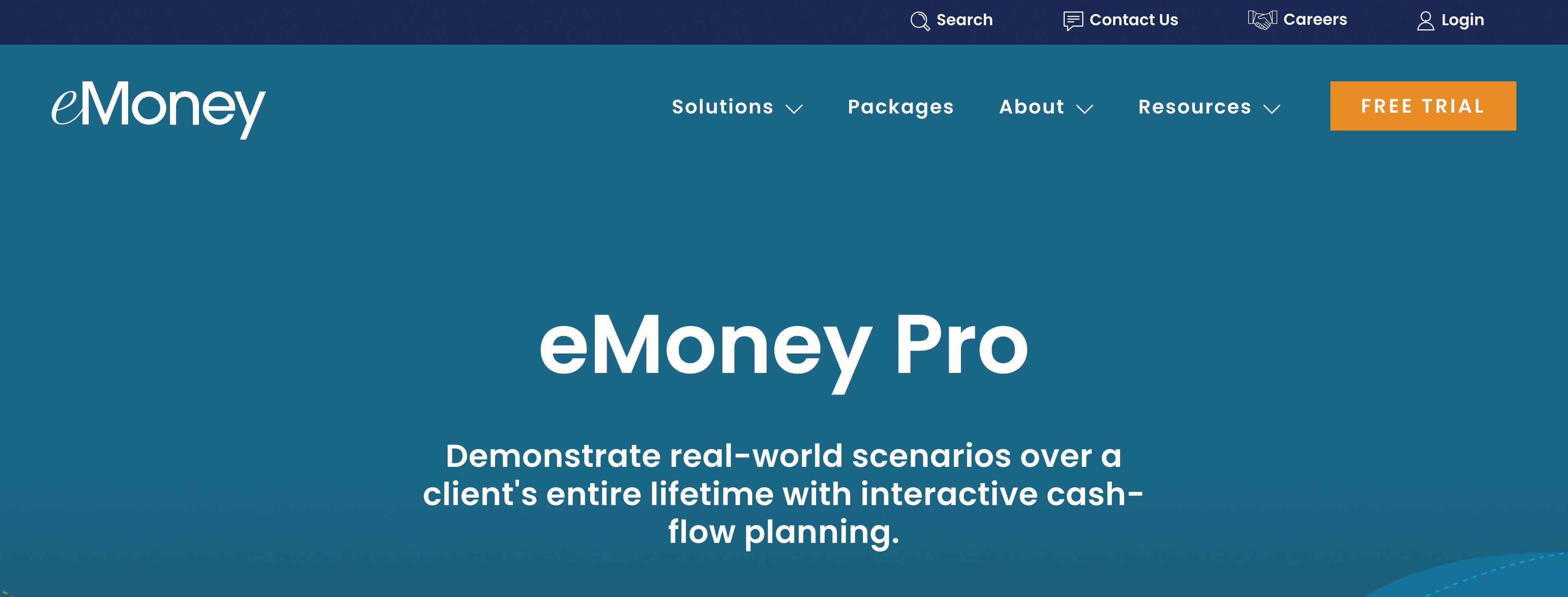 eMoney Pro