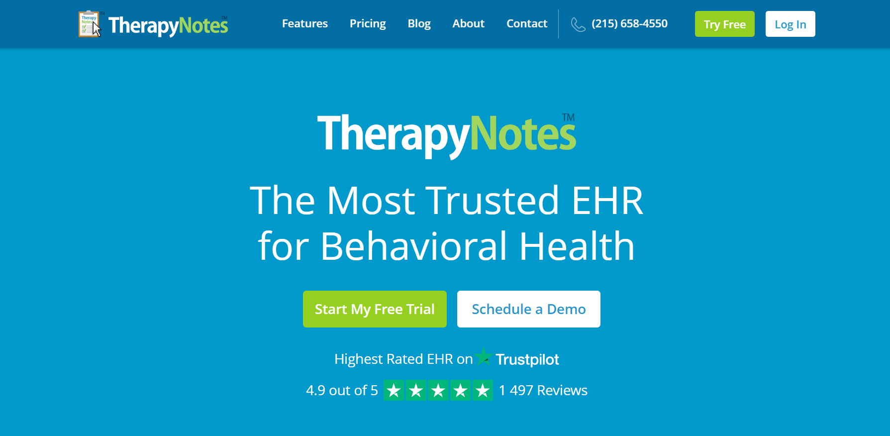 therapynotes solution